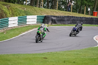 cadwell-no-limits-trackday;cadwell-park;cadwell-park-photographs;cadwell-trackday-photographs;enduro-digital-images;event-digital-images;eventdigitalimages;no-limits-trackdays;peter-wileman-photography;racing-digital-images;trackday-digital-images;trackday-photos